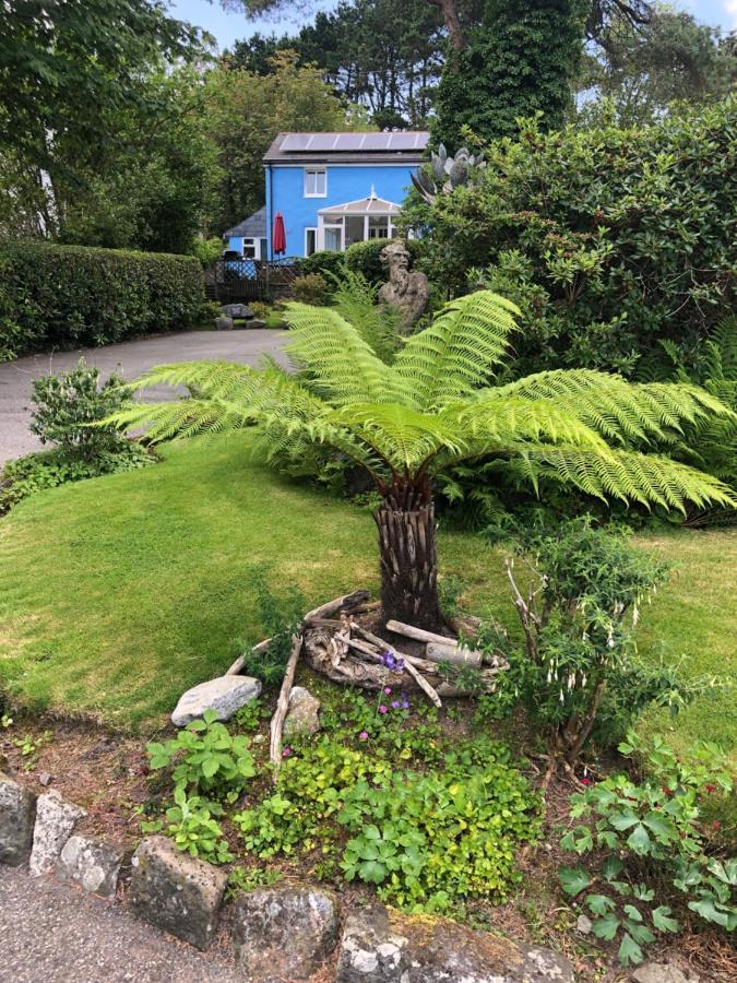 Verde Limone -The Studio&Bay View Cottage St Austell Exterior foto